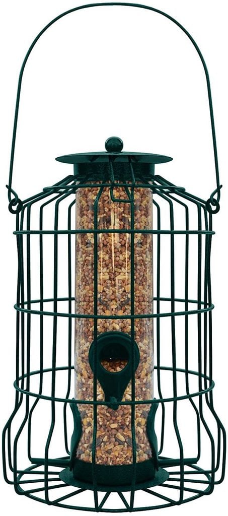 caged tube feeder