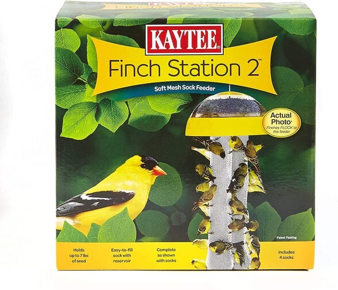 finch feeder station