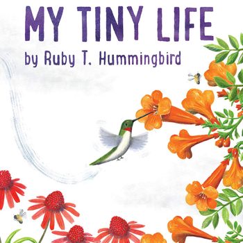 hummingbird book, childrens book on birds