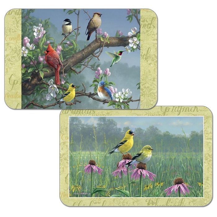 Reversible Wipe Clean Plastic Placemats Set Of 4 Beautiful Songbirds 29e5c396 7639 4787 A0ba 444da33887d6 1000