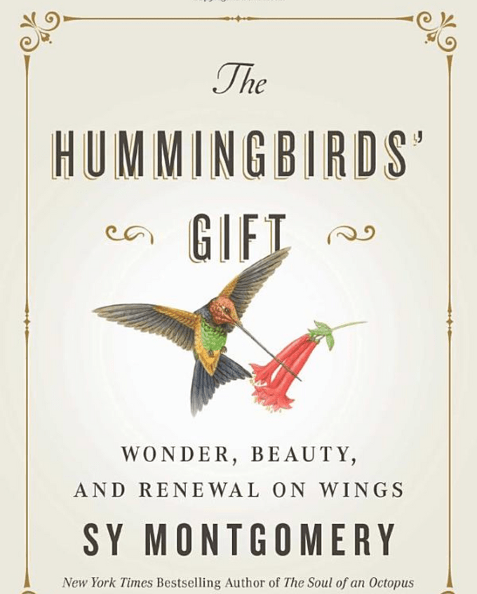 the hummingbird's gift book