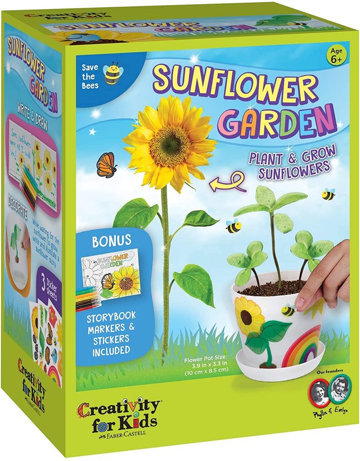 sunflower garden kit