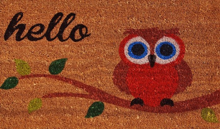 owl welcome mat