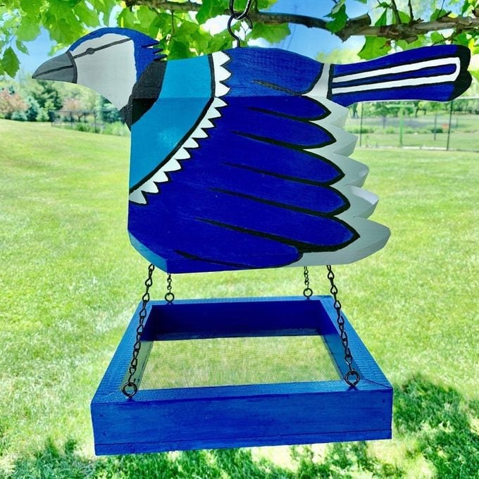 blue jay tray feeder