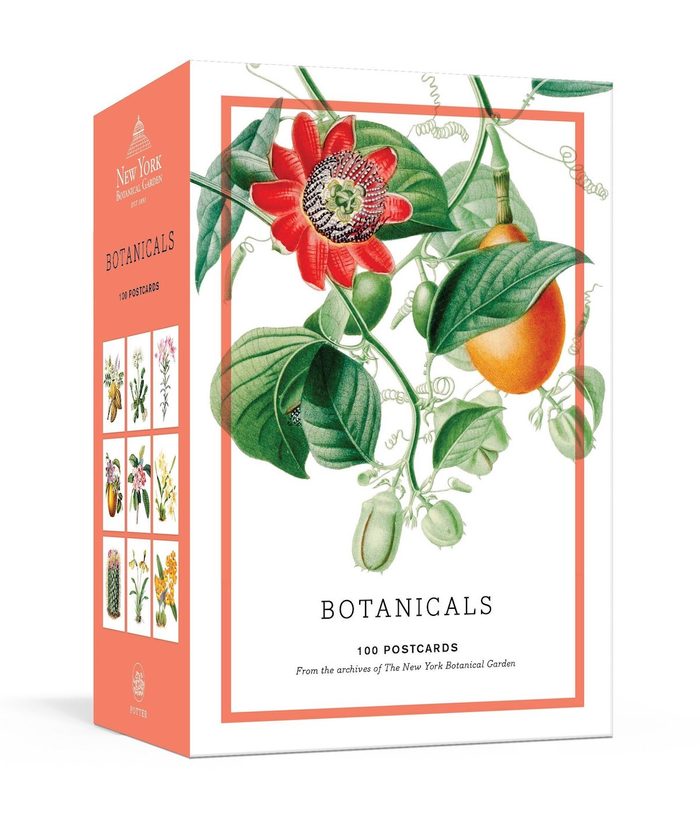 botanical postcards