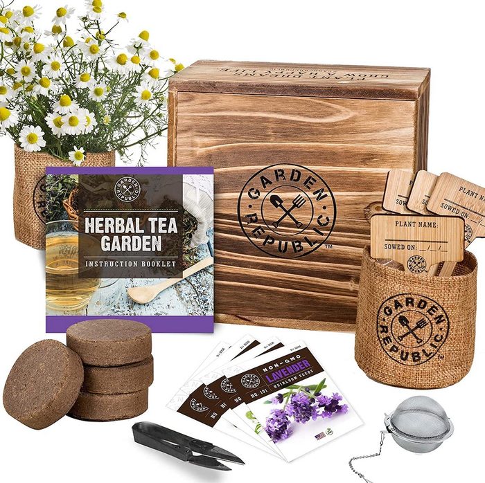 herbal tea garden kit