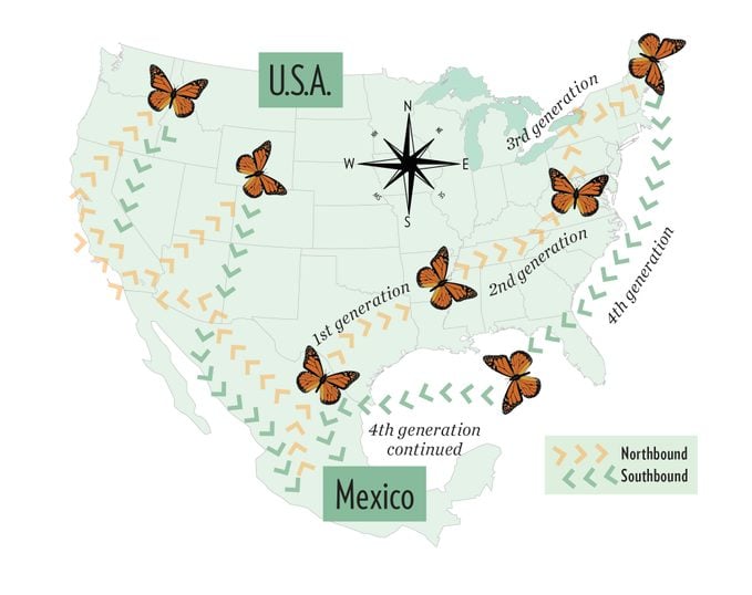 Monarch Migration Map