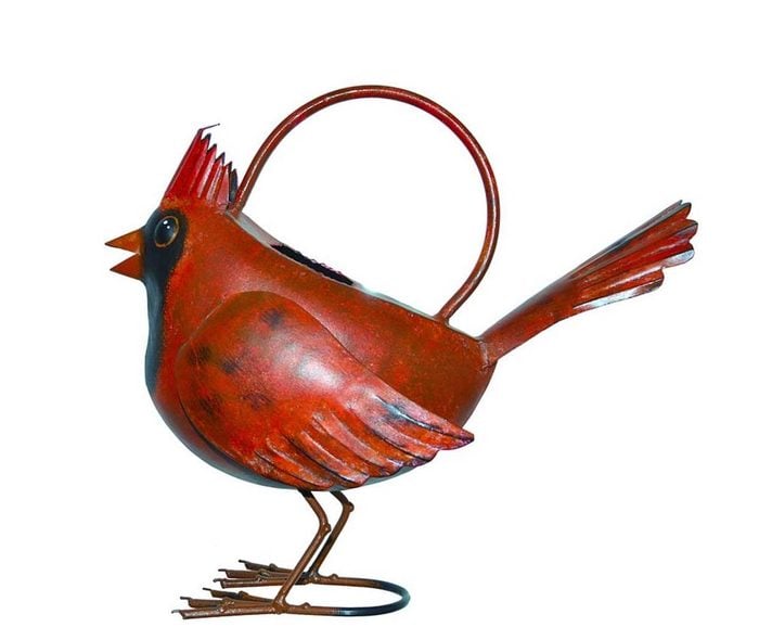 cardinal watering can