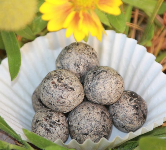 Monarch Butterfly Seed Bombs
