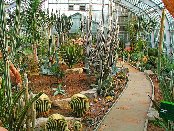 arid regions garden, montreal botanical garden