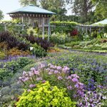 Montreal Botanical Garden: 6 Reasons to Go
