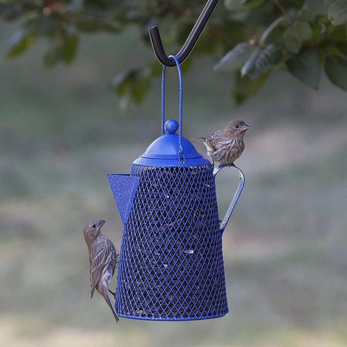 coffee pot bird feeder