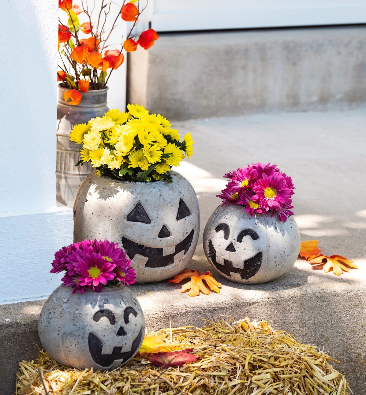 Fall Decorating: Fill a Pumpkin With Flowers - Birds and Blooms