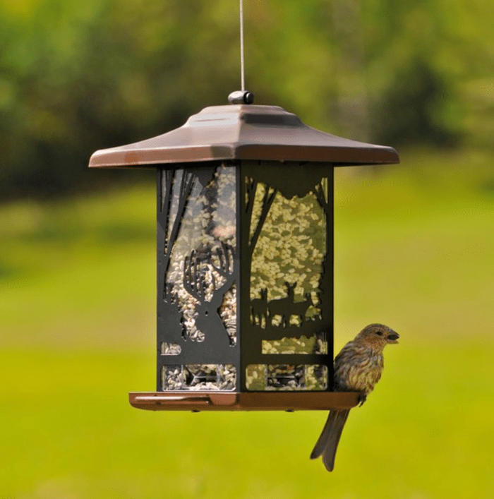 wilderness lantern hopper bird feeder