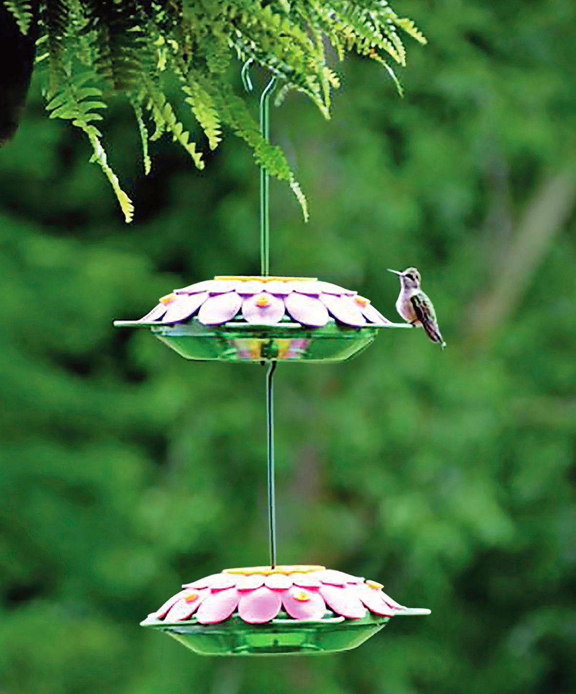 Hummingbirds gift for mum,gives for hummingbirds lover glass candle holder. Hummingbirds glass candle holder