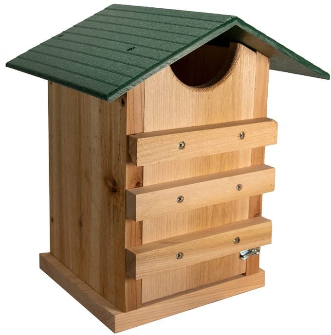 screech owl birdhouse