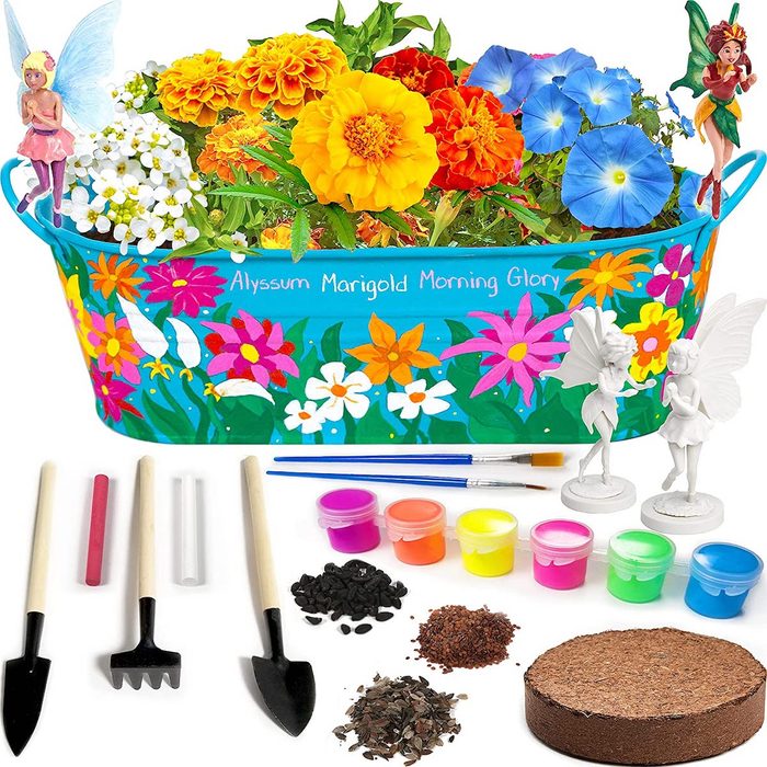 fairy garden kit