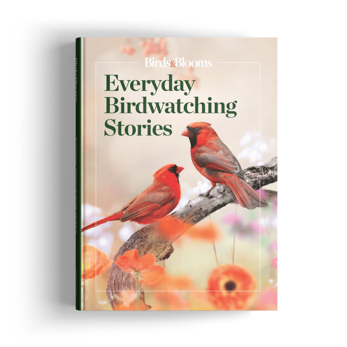 Everyday Birdwatching Stories Birding Book Cover, gardening gift ideas