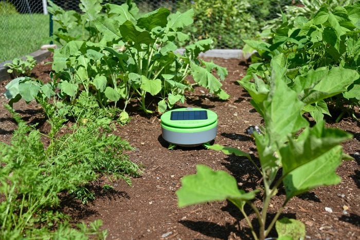 garden weeding robot, gardening gift ideas
