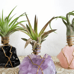 15 Perfect Gifts for Plant Lovers
