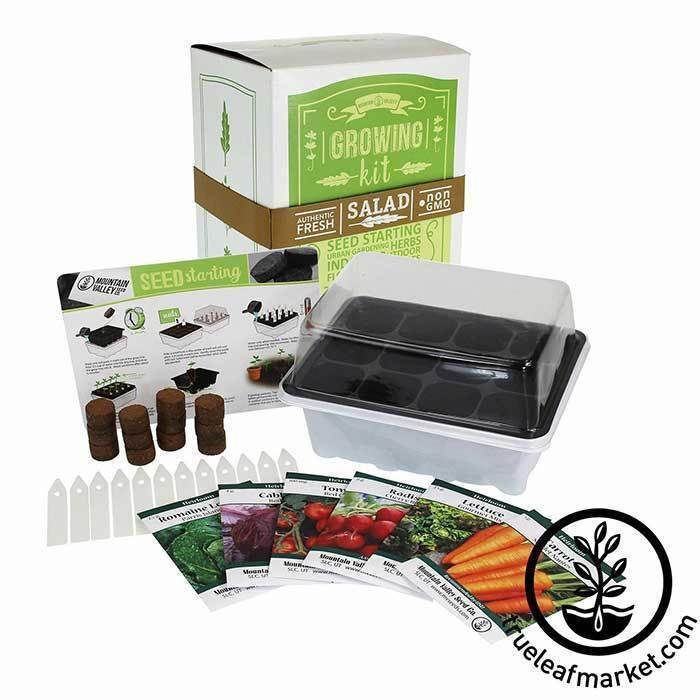 Seed Starter Kit Salad Good Box Wm 700