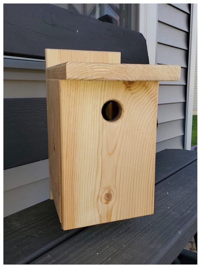chickadee nest box