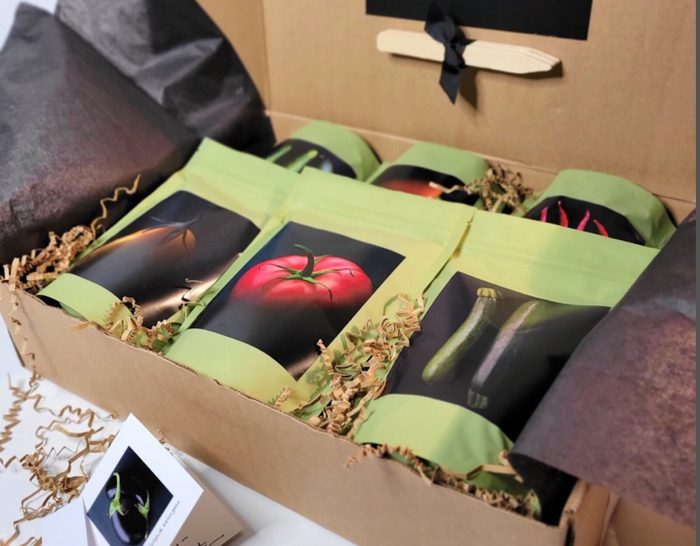 Etsy Seed Start Gift Box