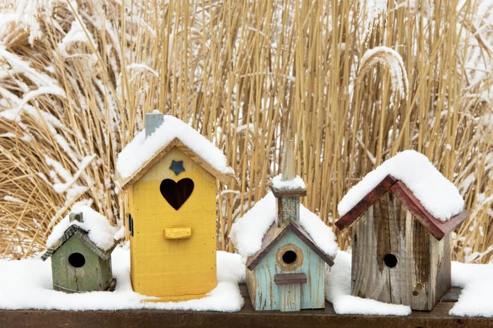 when to clean out bird houses