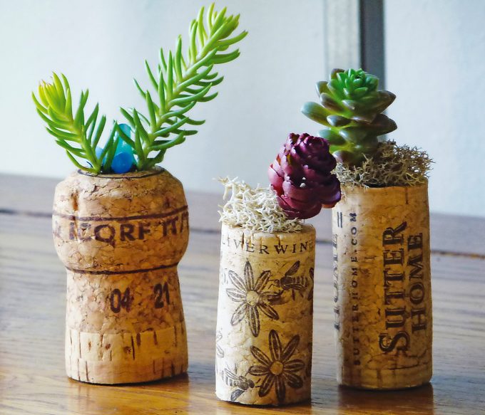 Wine cork succulent planters