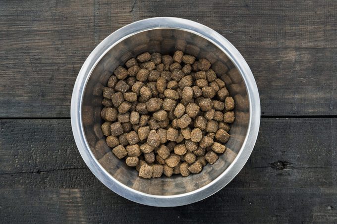 Bowl with dog food on wood background