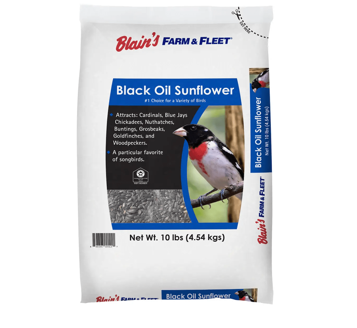 blackoilsunflowerseed