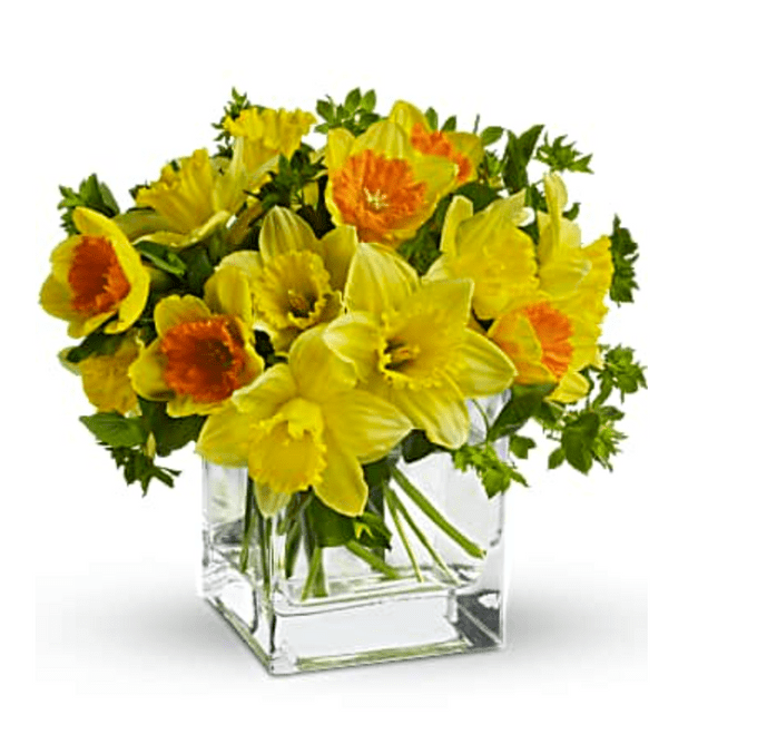 daffodil bouquet