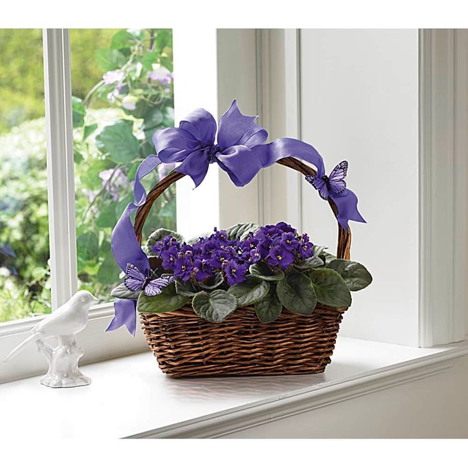 Violetsandbutterflies basket