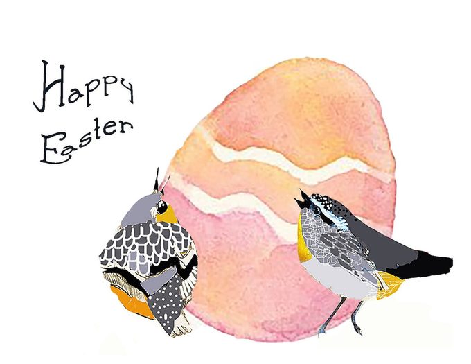 spring warbler bird card