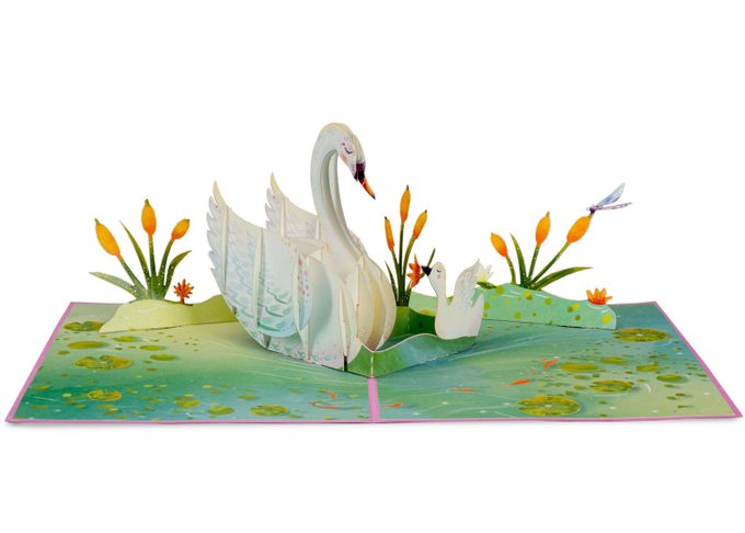 swan bird card