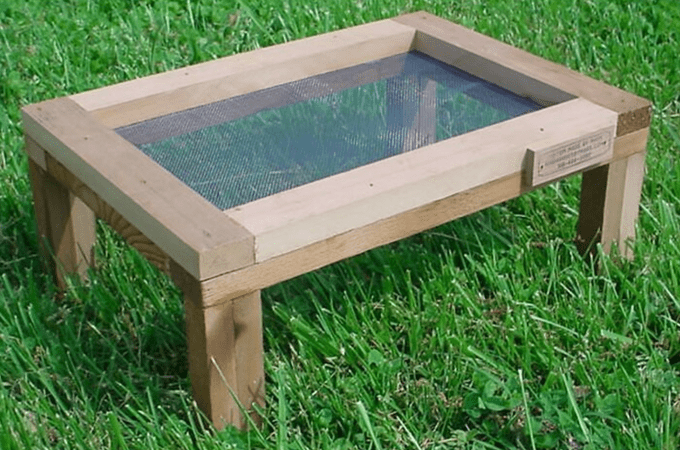 tray ground feeder for juncos