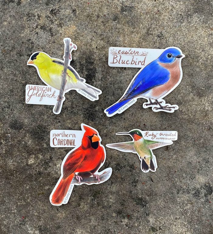 bird stickers, backyard bird stickers