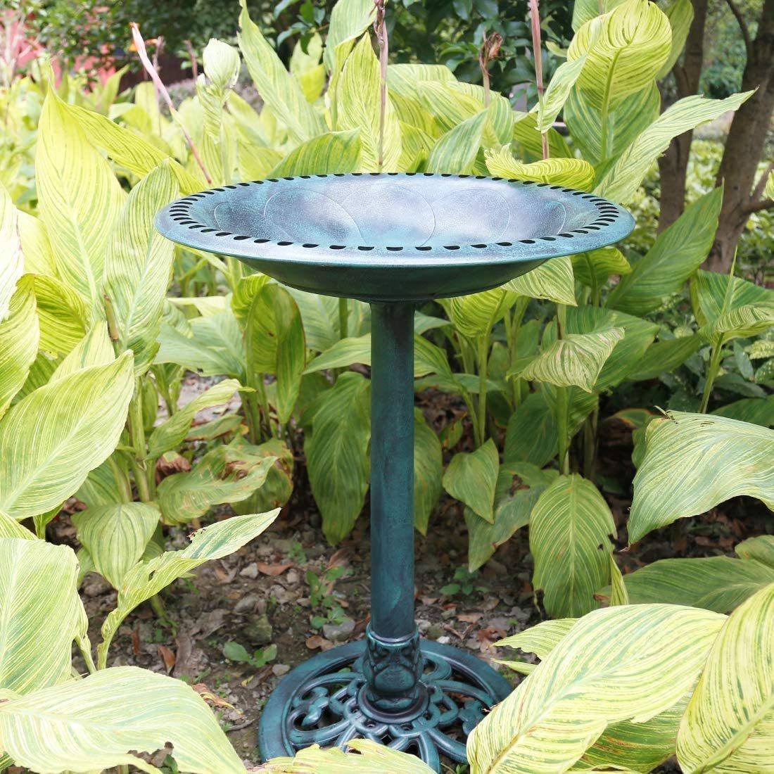 22 Best Bird Baths and Fountains for Attracting Birds