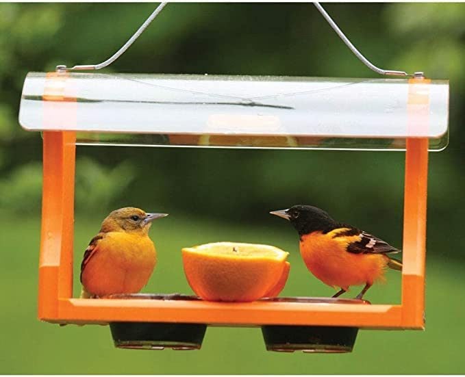 fruit bird feeder
