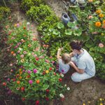 Grow a Natural, Chemical-Free Garden