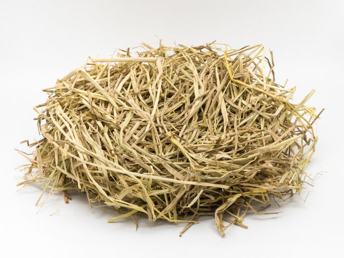 Close-Up Of Hay Over White Background