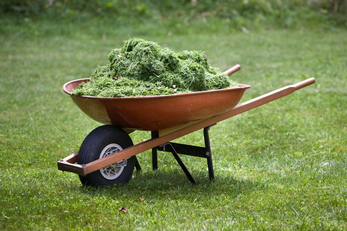 Red wheelbarrow with grass clippings