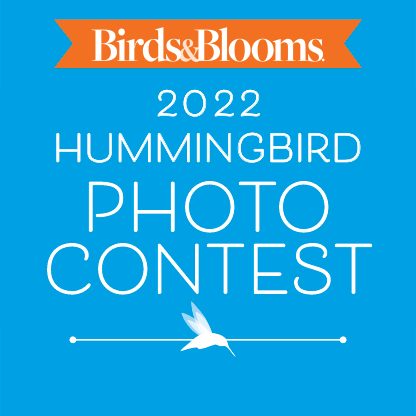 Hummingbird Photo Contest 2022 Logo
