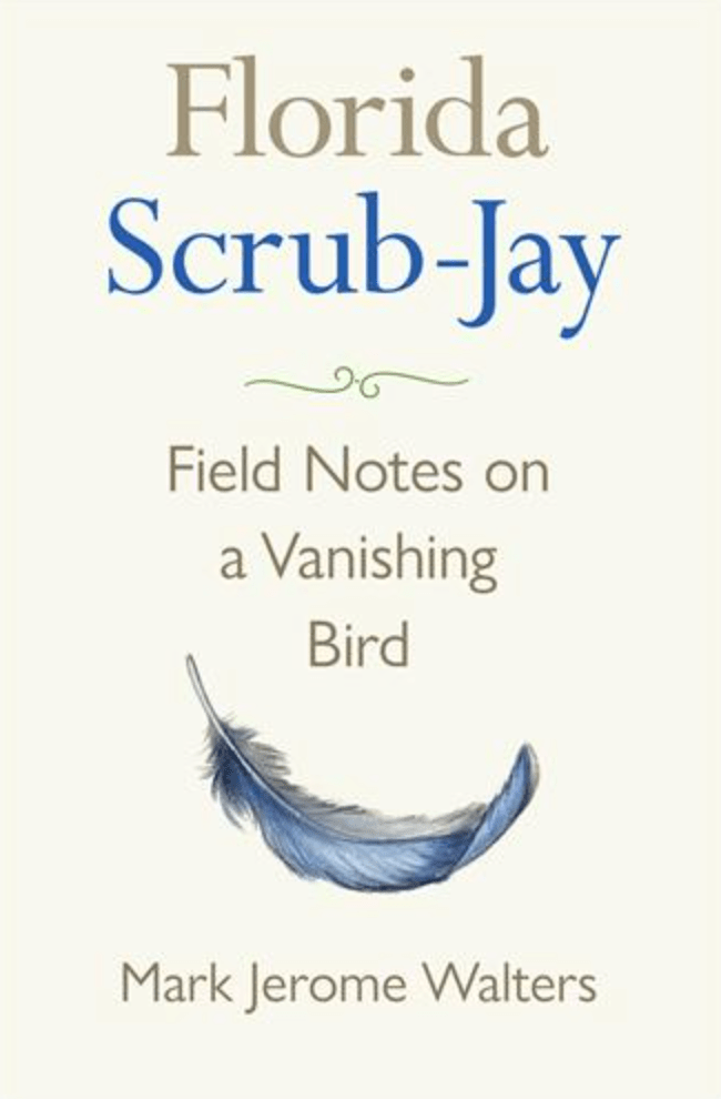 florida scrub jay bird book