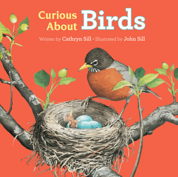 childrens books on birds