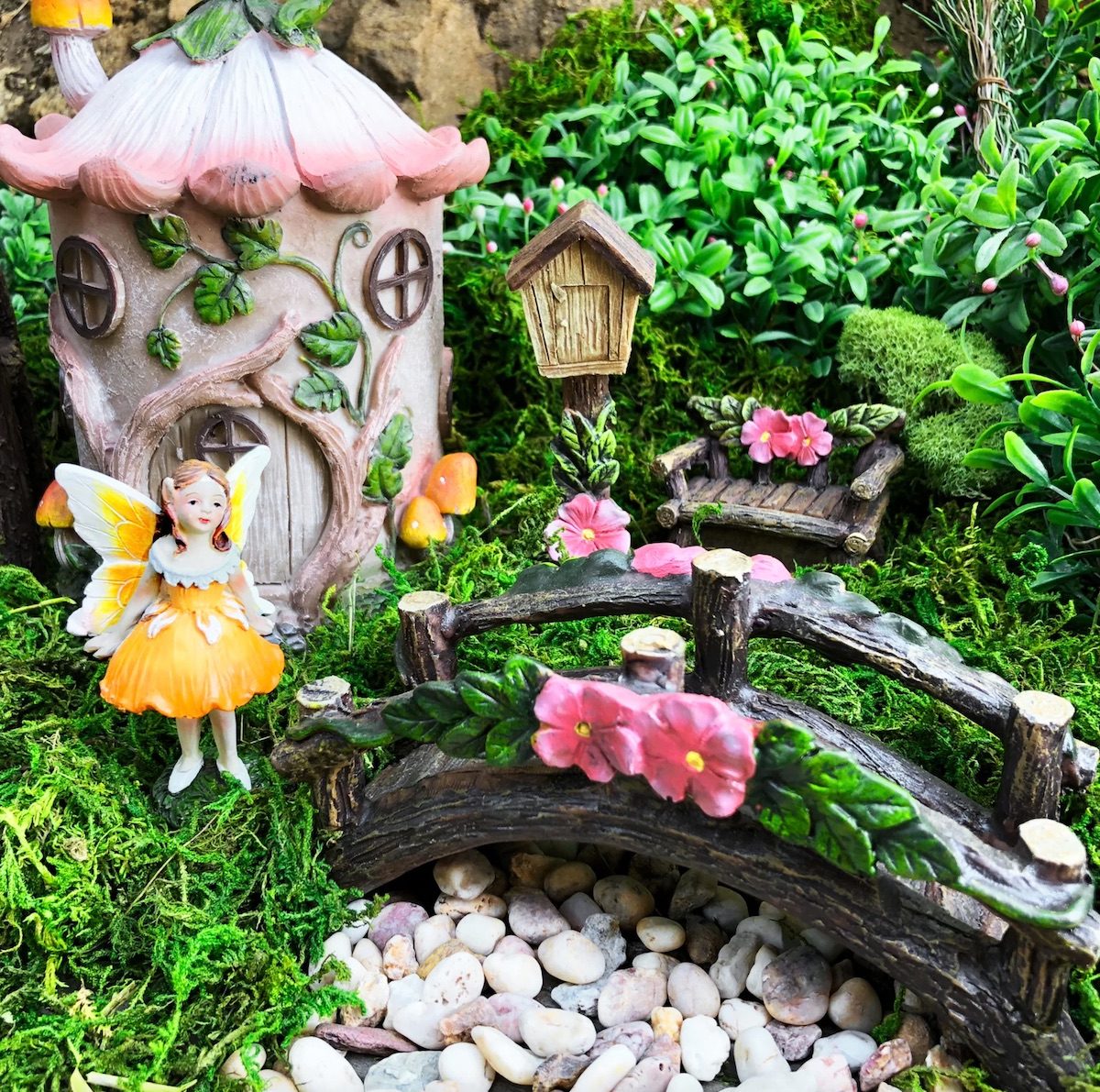 Grow Your Own Fairy Wildlife Garden 