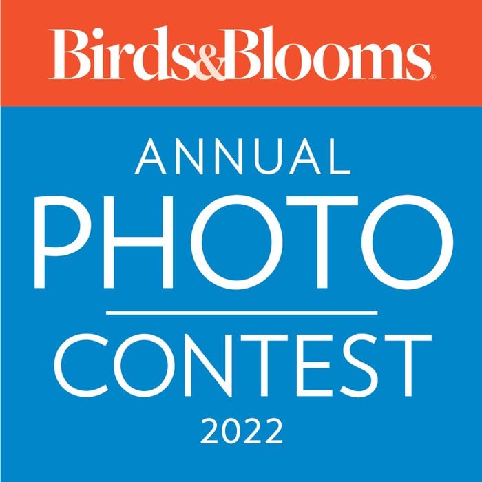The logo for the 2022 Birds & Blooms Annual Photo Contest.