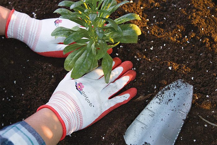 Cooljob Gardening Gloves For Women And Ladies Ecomm Amazon.com