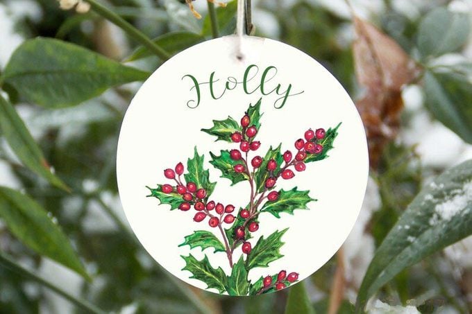 December Birth Month Flower Ornament Holly And Berries Ornament