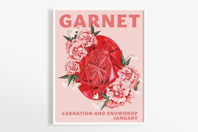 Garnet January Birthstone And Birth Flower Illustration Downloadable Digital Printable Wall Art